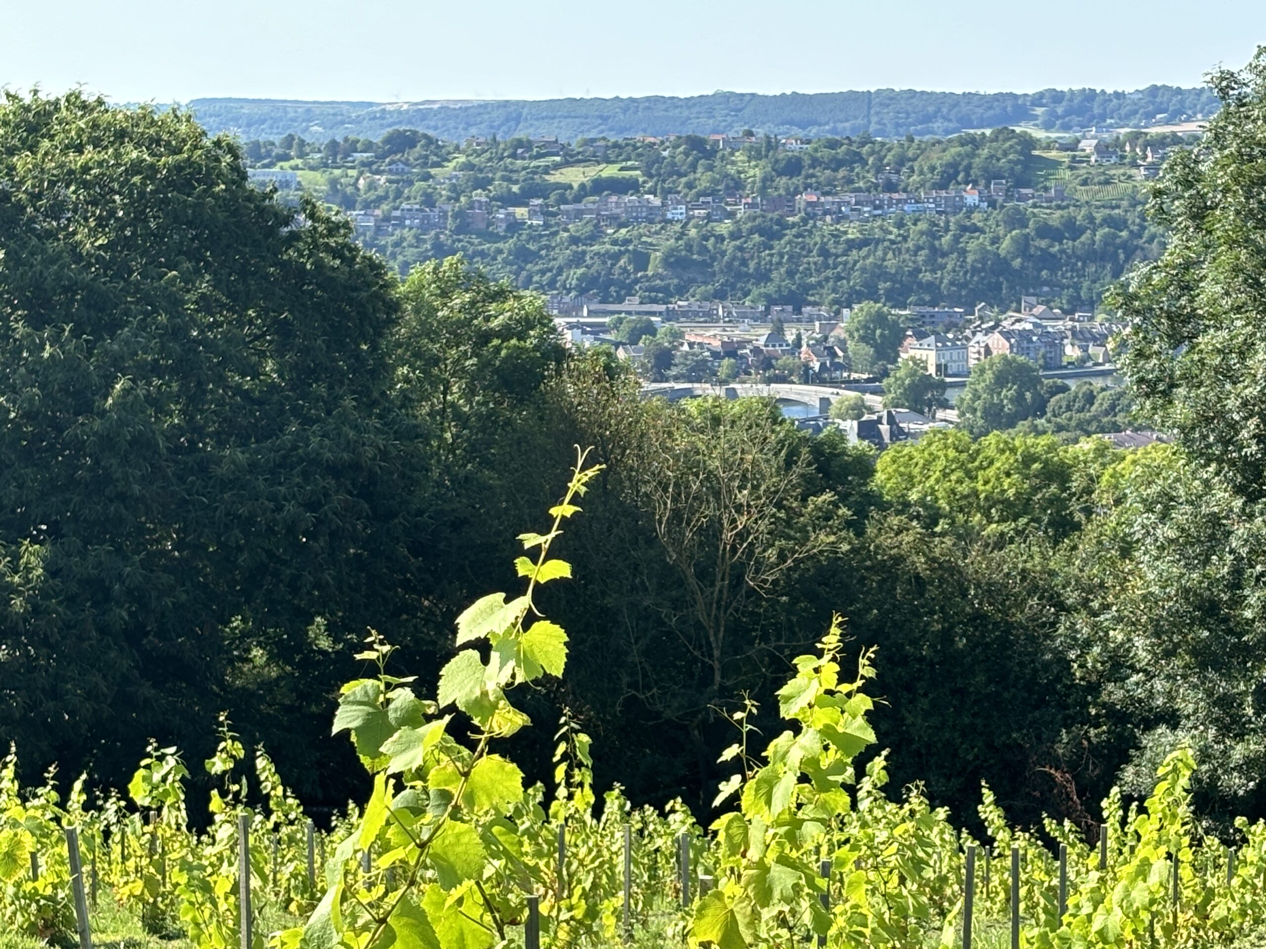 00F7AC01-B3A3-4705-A8A2-A78D9A4E86F5